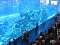 -成都浩海立方海洋公园