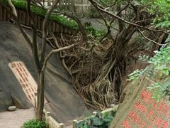 -乌山风景区