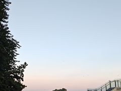 -棒棰岛宾馆景区