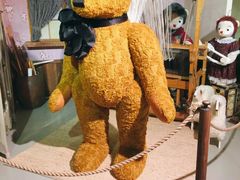 -济州岛泰迪熊博物馆