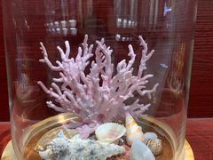 -青岛贝壳博物馆