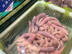 -品海楼·大连海胆锅贴馆(东港店)