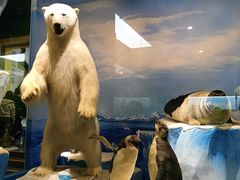 -国家自然博物馆