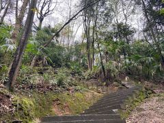 -凤栖山