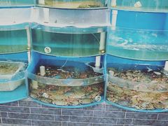-东海酒店