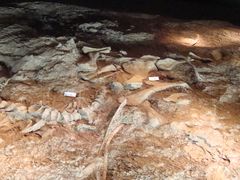 -世界恐龙谷景区