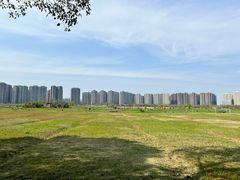 -洋湖国家湿地公园