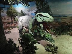 -国家自然博物馆