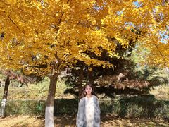 -长白岛森林公园