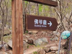 -大岭沟猕猴桃谷风景区
