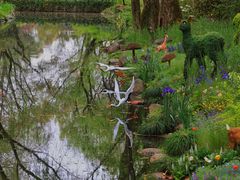 -上海共青森林公园