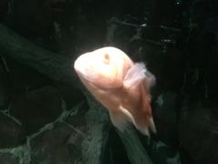 -多彩贵州城极地海洋世界