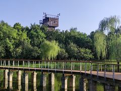 -东郊湿地公园