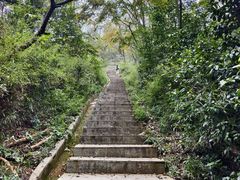 -桃花岭景区