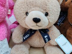 -济州岛泰迪熊博物馆