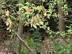 -昆山城市生态森林公园