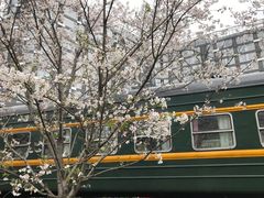 -新天地活力PARK