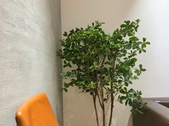 -极简口腔(总院)