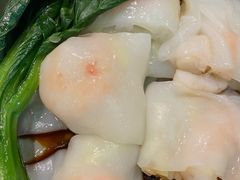 -美食小镇·观赏珍稀鸟类·长隆熊猫酒店