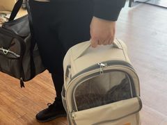 -瑞派紫金宠物医院24小时·骨科·中兽医·重症转诊中心(番禺大石院)