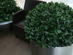 -星巴克臻选(沈阳大悦城店)
