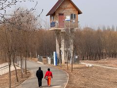 -东郊湿地公园