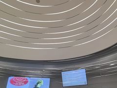 -喜茶(迪士尼小镇DP店)