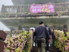 -大围山国家森林公园