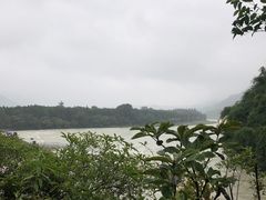 -张醪糟