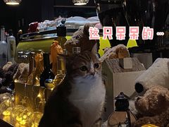 -咖法森林·咖啡  酒吧(天河店)