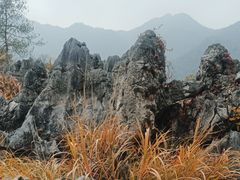 -千岛湖石林