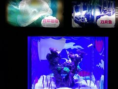 -烟台海昌鲸鲨海洋公园