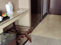 -西安阳光国际大酒店(西安火车站五路口地铁站店)