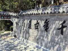 -广州市帽峰山景区
