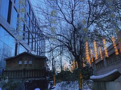 -陆地游轮西山温泉号