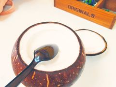 -志龙皇冠吃货椰子铺