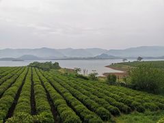 -横山水库