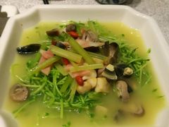 上汤豆苗-京味民福烤鸭店(建设四马路店)