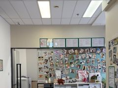 -爱妮康宠物医院·干细胞免疫细胞·肿瘤·心脏(张江店)