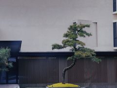 -水·餐厅