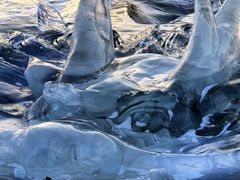 -长春市南湖公园