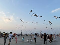 -东港音乐喷泉广场