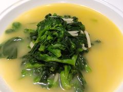 黄汤菜尖-金鼎轩(亚运村店)