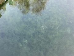 -百脉泉景区