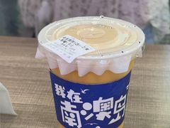 -南澳岛打卡果汁冰公司