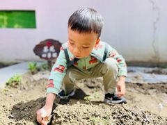 -硅谷蒙学幼儿园