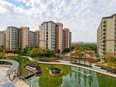 -梧桐人家中国太平国际健康颐养社区