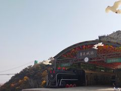 -威海华夏城景区