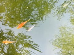 -春风习习