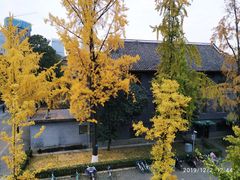 -四川大学(华西校区)